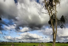补时绝平！比赛最后阶段梅里诺门前补射破门，西班牙绝平荷兰.
