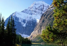 开云体育：库明加休战穆迪又活了！近两场19中11砍30分！网友：小库别回来了.